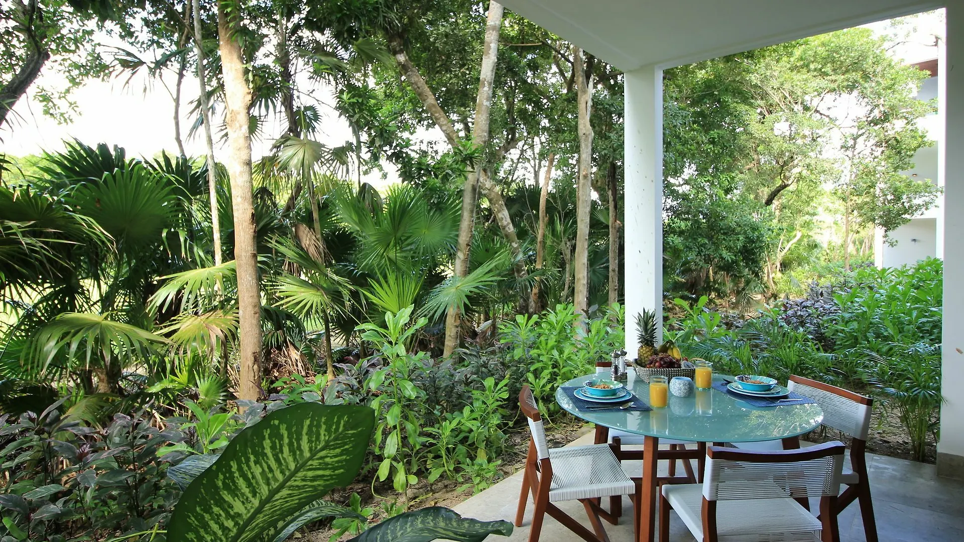Loft Near Wellness Center By Olahola Apartment Akumal 0*,  Mexico